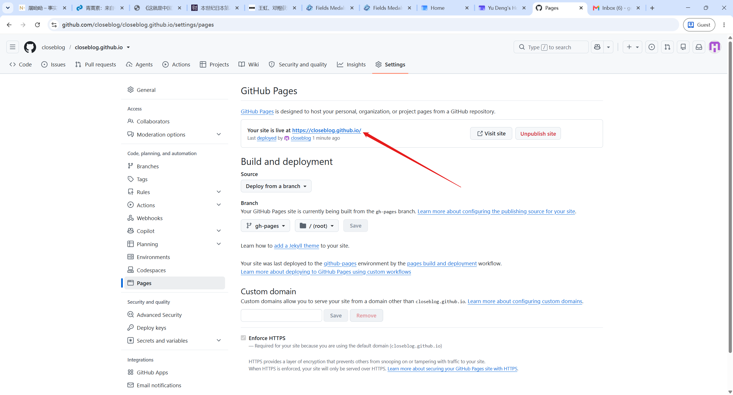 github-pages-success.png